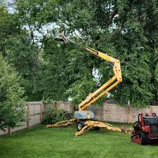 Best Hazardous Tree Removal  in Altamonte Springs, FL